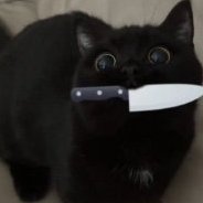 mfslorea