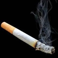 Fent Laced CIg